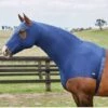 Weatherbeeta Stretch Hood With Zip - Navy -Equestrian Sale Store 589538rdy