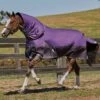 Weatherbeeta ComFiTec Plus Dynamic Detach-A-Neck Med - Purple/Black 2 Weatherbeeta ComFiTec Plus Dynamic Detach-A-Neck Med - Purple/Black -Equestrian Sale Store 801159rdy