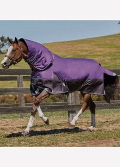 Weatherbeeta ComFiTec Plus Dynamic Detach-A-Neck Med - Purple/Black