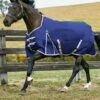 Weatherbeeta Comfitec Essential Std Lite Turnout - Nvy/Svr/Red -Equestrian Sale Store 801464rdy