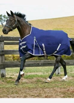 Weatherbeeta Comfitec Essential Std Lite Turnout - Nvy/Svr/Red