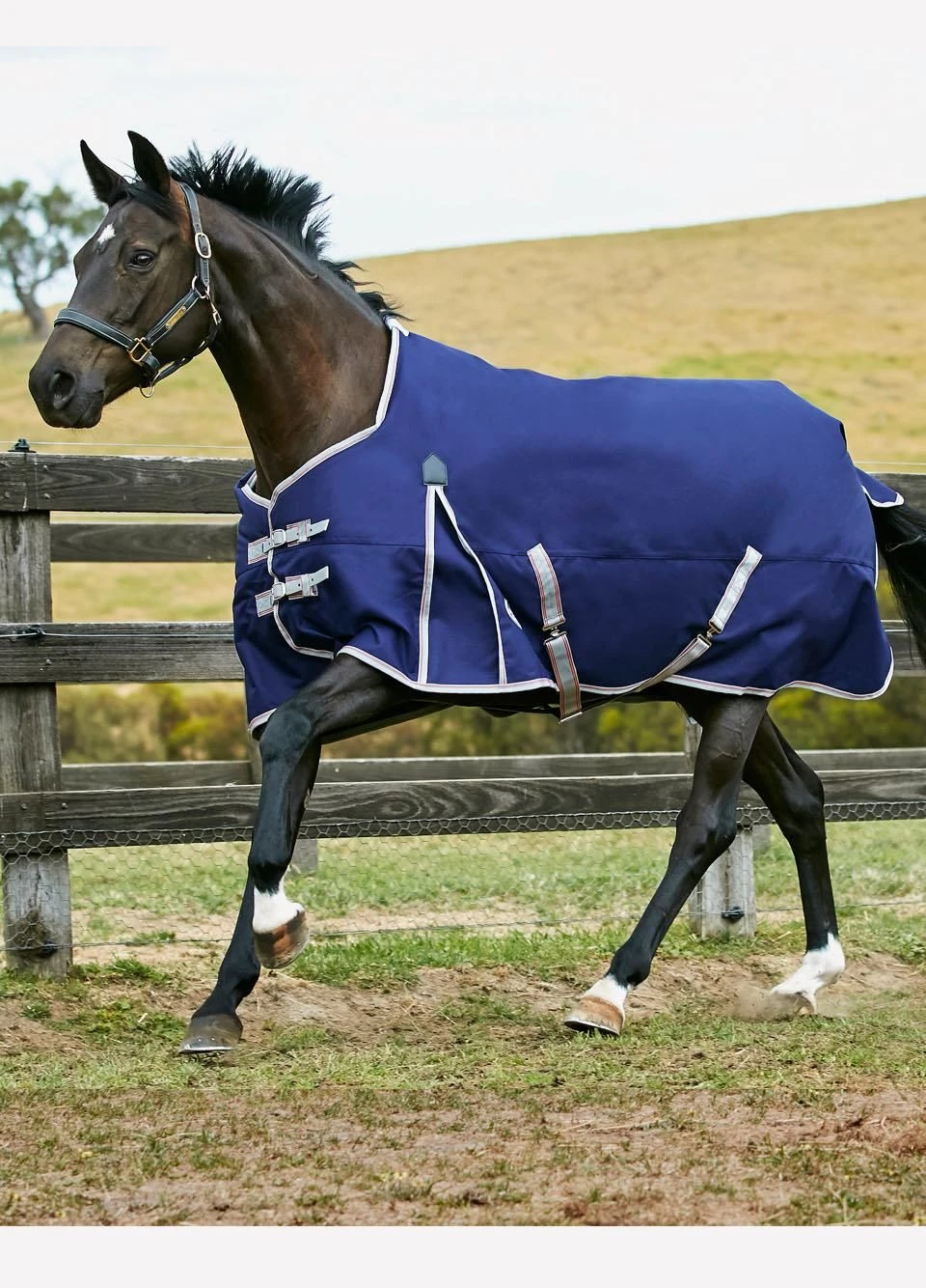 Weatherbeeta Comfitec Essential Std Lite Turnout - Nvy/Svr/Red 3 Weatherbeeta Comfitec Essential Std Lite Turnout - Nvy/Svr/Red