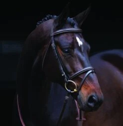 Amigo Bridle - Brown -Equestrian Sale Store amigobridlebrown