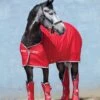 Amigo Jersey Cooler Rug - Red/White/Green -Equestrian Sale Store amigocooler.red .rdy