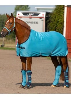 Amigo Ripstop Travel Boots - Delphinium 7 Amigo Ripstop Travel Boots - Delphinium -Equestrian Sale Store amigocoolerdelphrdy 1