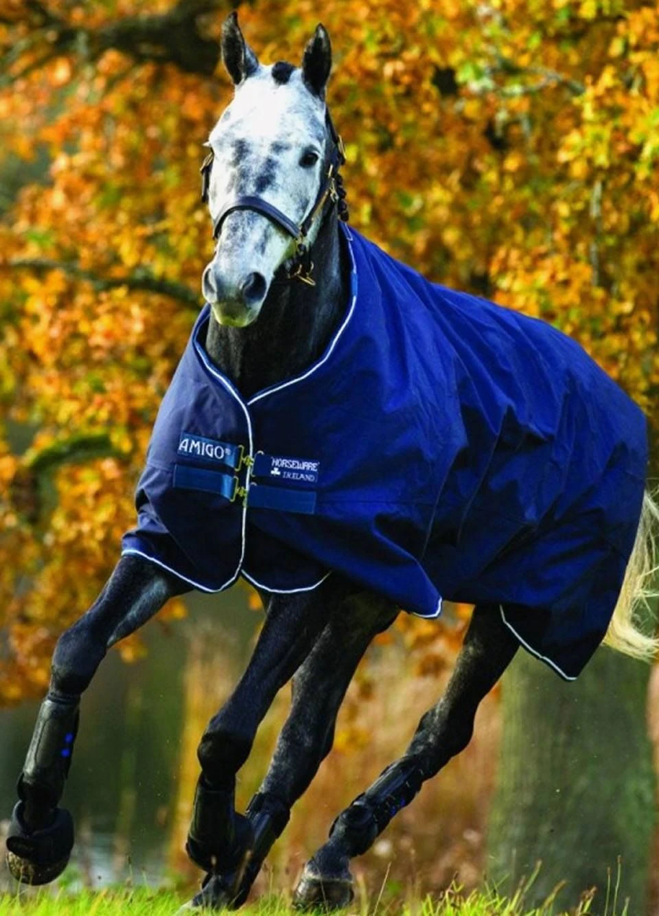 Amigo Bravo 12 Lite Turnout Rug - Navy 3 Amigo Bravo 12 Lite Turnout Rug - Navy
