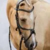 PS Of Sweden Athens Bridle - Black 1 PS Of Sweden Athens Bridle - Black -Equestrian Sale Store athensblk3rdy
