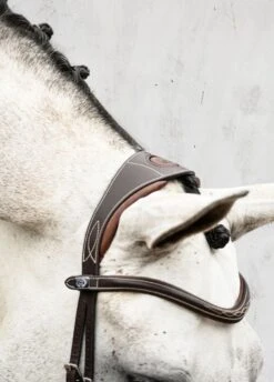 PS Of Sweden Athens Bridle - Brown -Equestrian Sale Store athensbrn2rdy