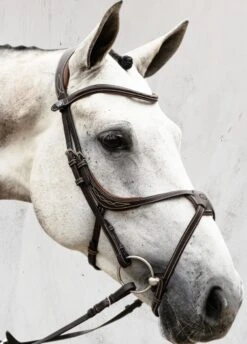 PS Of Sweden Athens Bridle - Brown -Equestrian Sale Store athensbrn3rdy