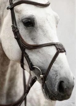 PS Of Sweden Athens Bridle - Brown -Equestrian Sale Store athensbrn5rdy