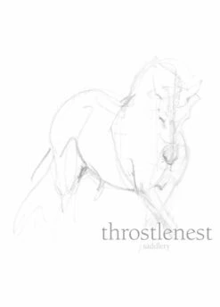 Blackfort Equestrian Thermal Water Resistant Breggings - Chocolate -Equestrian Sale Store bf thermal bregging chocolate 3rdy