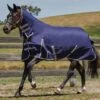 Weatherbeeta ComFiTec Essential Combo Lite Plus Turnout Rug - Navy/Silver/Red 1 Weatherbeeta ComFiTec Essential Combo Lite Plus Turnout Rug - Navy/Silver/Red -Equestrian Sale Store comfittecessentilliteplus