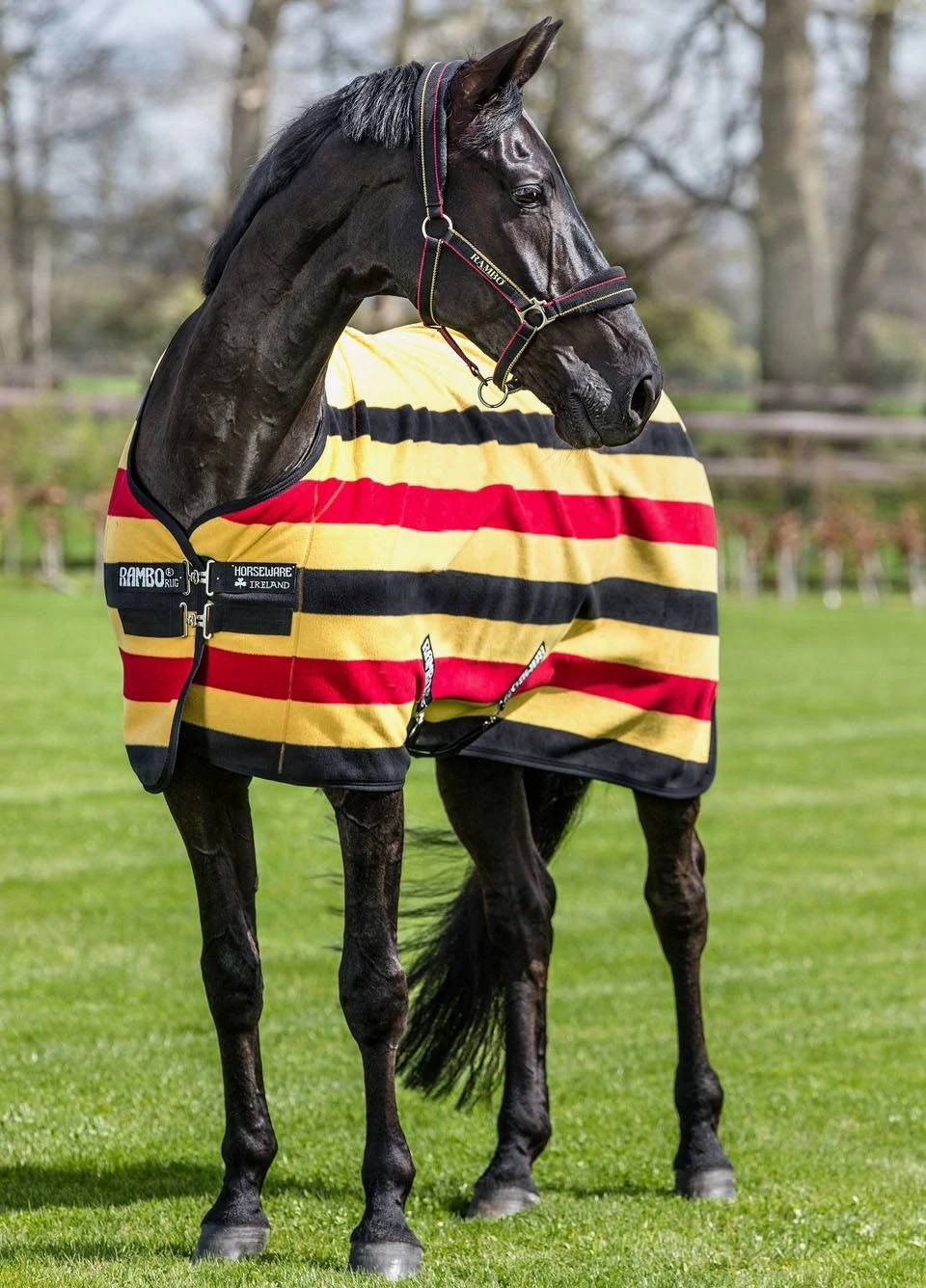 Rambo Deluxe Fleece - Witney Gold Stripe 3 Rambo Deluxe Fleece - Witney Gold Stripe