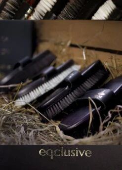 Eqclusive Brush Set For Chestnuts