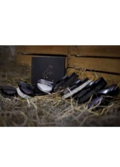 Eqclusive Universal Shining Brush Set For All Colour Coats