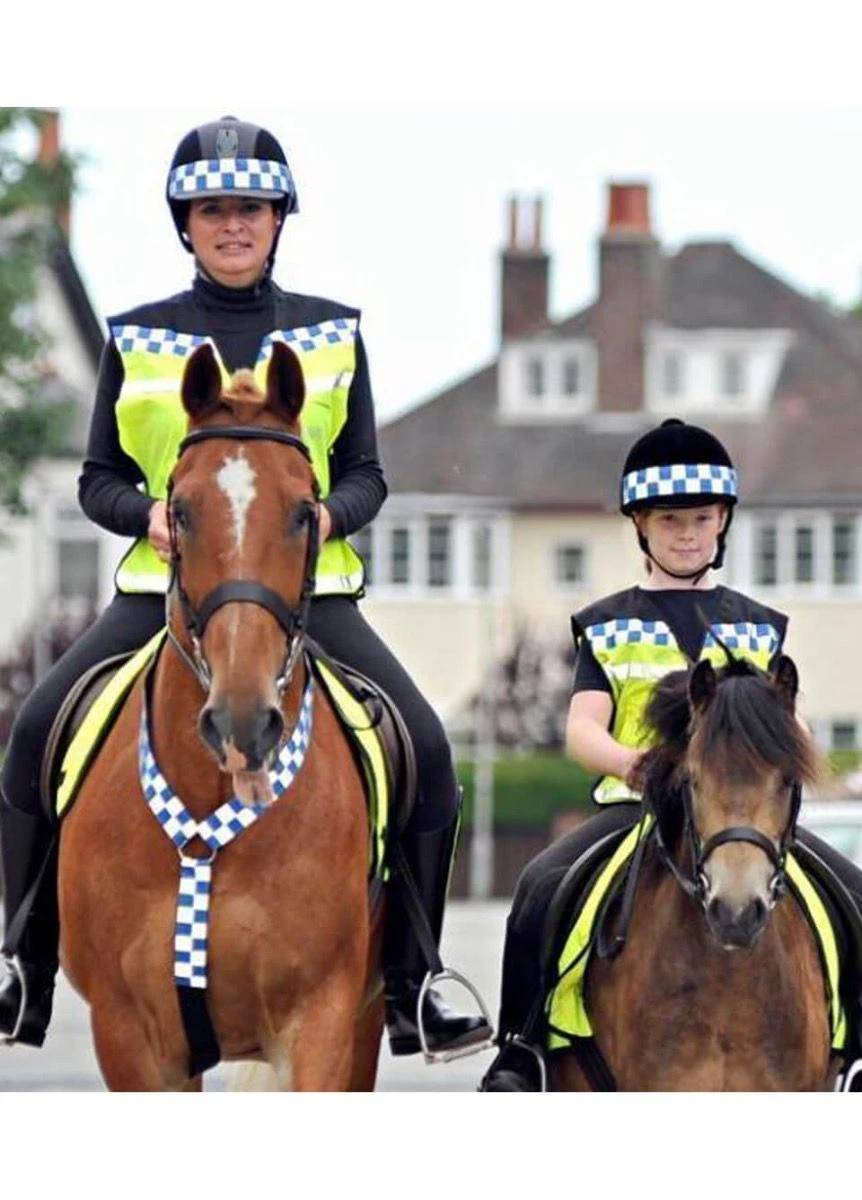 Equisafety Polite Hi Viz Waistcoat - Yellow 4 Equisafety Polite Hi Viz Waistcoat - Yellow - Image 2