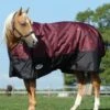 Weatherbeeta Comfitec Essential Standard Neck Medium Turnout- Burgundy Bandana Print/Black -Equestrian Sale Store essentialstdmedbandana3rdy