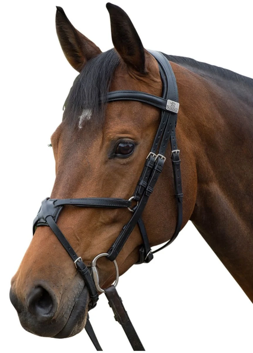 Fairfax Grackle Noseband - Black 3 Fairfax Grackle Noseband - Black