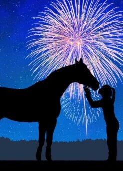 Animalife Vetrocalm Healthy - 900g -Equestrian Sale Store fireworksrdy 1