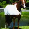Horseware Fly Rug Liner - White -Equestrian Sale Store flyrugliner 1