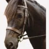 Sabre Eton Snaffle Bridle - Havana 1 Sabre Eton Snaffle Bridle - Havana -Equestrian Sale Store fm 2012 02 14 08 12 27 30654