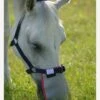 Equilibrium Field Relief Muzzle Protector - Grey -Equestrian Sale Store fm 2012 02 16 11 38 02 68660
