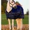 Amigo Mio Stable Rug Heavy 300g - Navy -Equestrian Sale Store fm 2012 11 15 07 11 57 30865