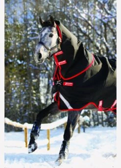Rambo Supreme Vari-Layer Heavy Turnout Rug 450g - Black/Red -Equestrian Sale Store fm 2014 01 15 04 31 36 6245