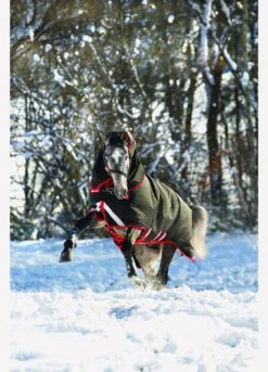 Rambo Supreme Vari-Layer Heavy Turnout Rug 450g - Black/Red -Equestrian Sale Store fm 2014 01 15 04 32 32 78792