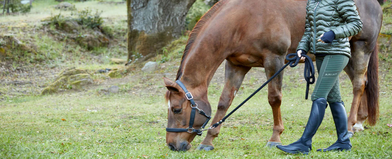 Equestrian Sale Store -Equestrian Sale Store ghjgfj