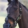 Greenguard Muzzle - Black -Equestrian Sale Store greenguardrdy