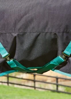 Weatherbeeta Green-Tec 900D Detach-A-Neck Lite Plus Turnout - Black/Bottle Green 14 Weatherbeeta Green-Tec 900D Detach-A-Neck Lite Plus Turnout - Black/Bottle Green -Equestrian Sale Store greentechfeatures1rdy 2