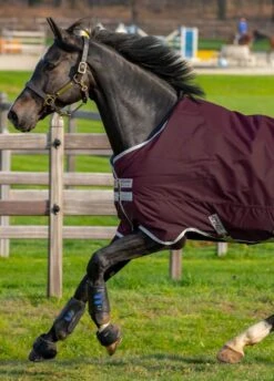 Amigo Hero Ripstop 50g - Fig -Equestrian Sale Store hero50fig2rdy