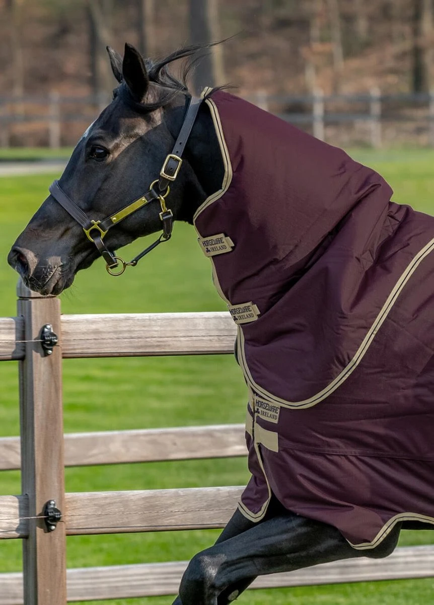 Amigo Hero Ripstop Plus 100g - Fig 4 Amigo Hero Ripstop Plus 100g - Fig - Image 2