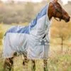 Amigo AmECO Combi Fly Rug - Teal/Grey -Equestrian Sale Store horseware ameco fly tealgrey 1rdy