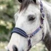 Rambo Padded Headcollar - Navy/Burgundy