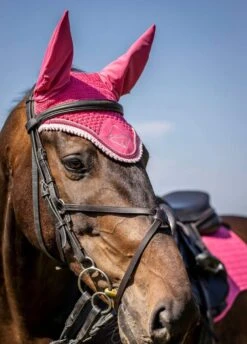 LeMieux Classic Fly Hood - Watermelon -Equestrian Sale Store lemieux fly hood watermelon 3rdy