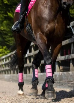 LeMieux Grafter Brushing Boots - Watermelon -Equestrian Sale Store lemieux grafter boot watermelon 5rdy