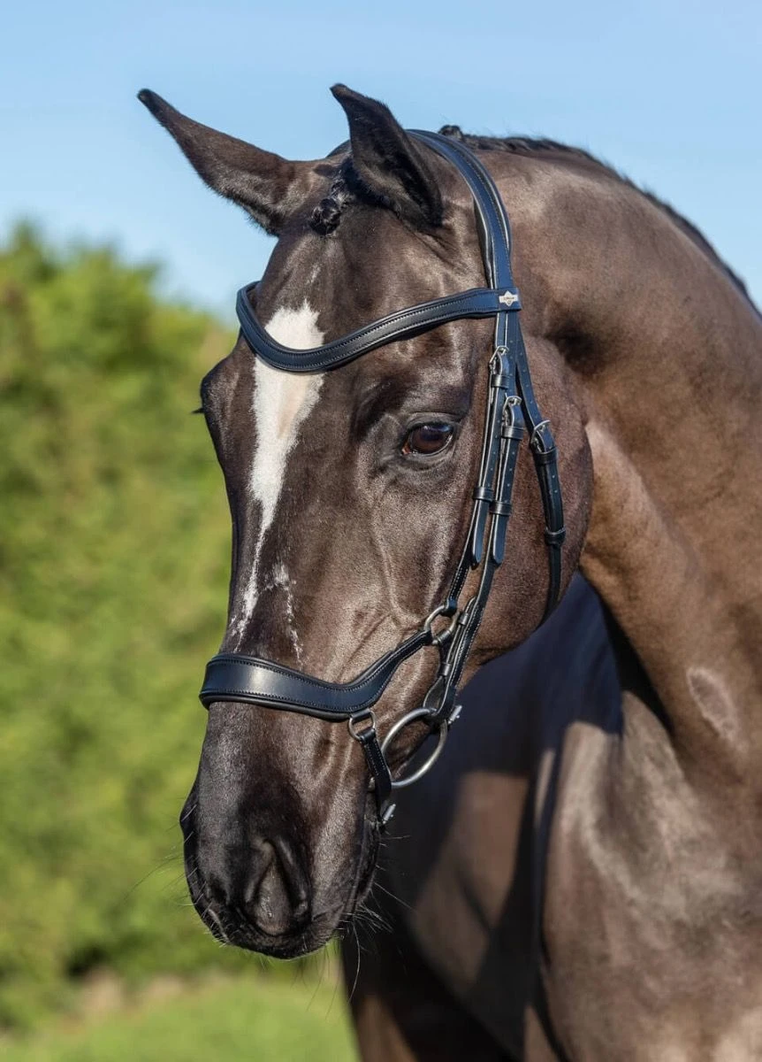 LeMieux Arika Drop Bridle - Black/Silver 3 LeMieux Arika Drop Bridle - Black/Silver