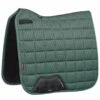 LeMieux Carbon Mesh Dressage Square - Sage -Equestrian Sale Store lmdresssage1rdy