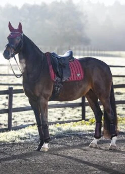 LeMieux Loire Classic Dressage Square - Rioja -Equestrian Sale Store lmloiredressrioja3rdy