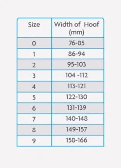 Woof Wear Medical Hoof Boot - Blue -Equestrian Sale Store medicalhoofchartrdy