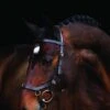 Rambo Micklem Multi Bridle - Brown -Equestrian Sale Store micklem multi brnx