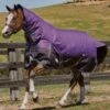 Weatherbeeta Comfitec Plus Dynamic Combo Lite Turnout - Purp/Blk 1 Weatherbeeta Comfitec Plus Dynamic Combo Lite Turnout - Purp/Blk -Equestrian Sale Store plusdynamiccomboliterdy 1