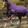 Weatherbeeta ComFiTec Plus Dynamic Combo Medium Turnout - Purple/Black -Equestrian Sale Store plusdynamiccombomedum
