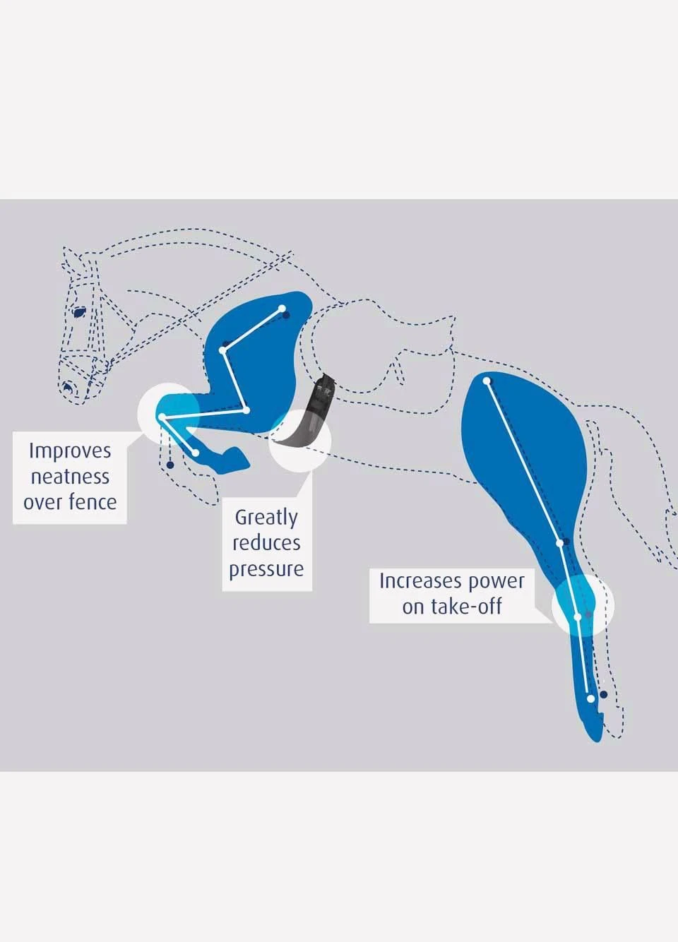 Prolite Long Girth - Narrow Gauge - Black 4 Prolite Long Girth - Narrow Gauge - Black - Image 2