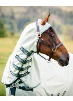 Rambo Hoody - Green/Sage -Equestrian Sale Store rambo hoody green sage 4rdy