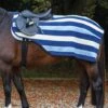 Rambo Fleece Competition Sheet - Navy Stripe -Equestrian Sale Store rambocompetitionsheet2