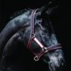 Rambo Padded Headcollar - Witney Cherry -Equestrian Sale Store rambopaddedheadcollar witneycherry