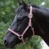 Weatherbeeta Coordinate Headcollar - Ruby 1 Weatherbeeta Coordinate Headcollar - Ruby -Equestrian Sale Store rubyheadcollar
